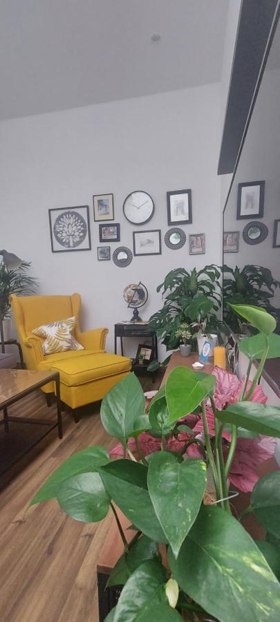 Apartamentos Los Descalzos Free Parking روندا المظهر الخارجي الصورة
