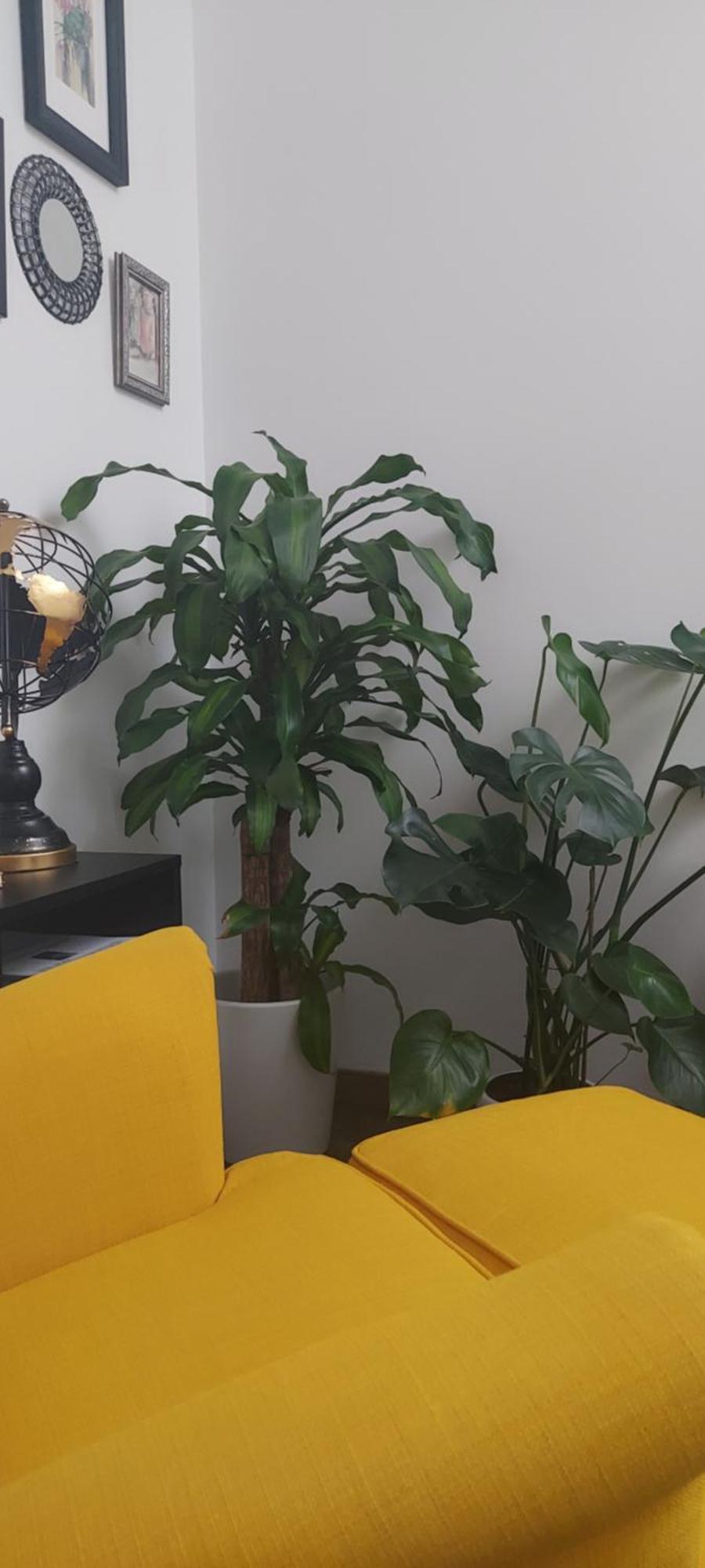 Apartamentos Los Descalzos Free Parking روندا المظهر الخارجي الصورة